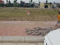 Bán đất khu xã Thụy Hòa, Yên Phong, Bắc Ninh đường 7m giá chỉ 15,5tr Bán đất khu xã Thụy Hòa, Yên Phong, Bắc Ninh đường 7m giá chỉ 15,5tr