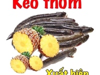 NGÂN HÀNG THANH LÝ ĐẤT CHỈ TỪ 560 TRIỆU VÀ 24 PHÒNG TRỌ ĐÃ CÓ SỔ RIÊNG NGÂN HÀNG THANH LÝ ĐẤT CHỈ TỪ 560 TRIỆU VÀ 24 PHÒNG TRỌ ĐÃ CÓ SỔ RIÊNG