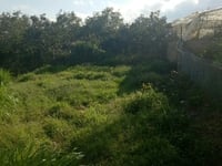 Cần bán lô đất biệt lập giá rẻ đường nam hồ Cần bán lô đất biệt lập giá rẻ đường nam hồ