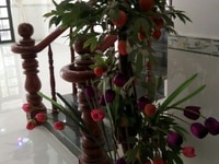 Cần bán gấp căn Villa mặt tiền khu Tên Lửa Cần bán gấp căn Villa mặt tiền khu Tên Lửa