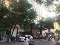 Cần bán gấp tòa nhà 83 Nguyễn Ngọc Vũ diện tích sổ đỏ 171m2, 9 tầng, Cần bán gấp tòa nhà 83 Nguyễn Ngọc Vũ diện tích sổ đỏ 171m2, 9 tầng,