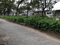 Bán đất MT Tỉnh Lộ 10 Bình Chánh 1072m2 (TC 500m) giá 22 tỷ Bán đất MT Tỉnh Lộ 10 Bình Chánh 1072m2 (TC 500m) giá 22 tỷ
