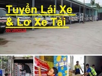 Tuyển dụng Gấp tài xế, lơ xe, phụ kho, xếp dở hàng hóa trong kho Tuyển dụng Gấp tài xế, lơ xe, phụ kho, xếp dở hàng hóa trong kho