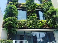 Cho thuê mặt tiền kinh doanh đường Nguyễn Công Trứ, Q.1. DT 150m2, 55t Cho thuê mặt tiền kinh doanh đường Nguyễn Công Trứ, Q.1. DT 150m2, 55t
