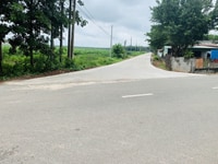 Kinh doanh thua lỗ cần bán gấp lô 1300 m2 giá 590 TR, khu dân đông Kinh doanh thua lỗ cần bán gấp lô 1300 m2 giá 590 TR, khu dân đông