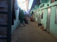 Bán dãy trọ 16 phòng,Dt320m2,SHr ,tỉnh lộ 8 - LA Bán dãy trọ 16 phòng,Dt320m2,SHr ,tỉnh lộ 8 - LA