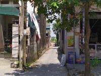 Bán 250,5m Đất Thổ Cư Đường Trần Lãm, Vũ Chính, TP Thái Bình Bán 250,5m Đất Thổ Cư Đường Trần Lãm, Vũ Chính, TP Thái Bình