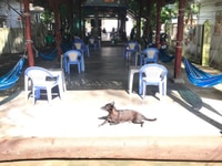 Cần bán nhanh nhà và đất mặt tiền QL50 Cần bán nhanh nhà và đất mặt tiền QL50