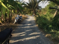 Bán đất Xã Tân Nhựt, Bình Chánh. Diện tích: 2.500m2 đất vuông vức. Bán đất Xã Tân Nhựt, Bình Chánh. Diện tích: 2.500m2 đất vuông vức.