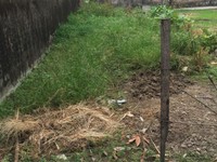 Mảnh đất khu Việt Hà, Cổ Nhuế giá 650 triệu, 40m2, MT 4m Mảnh đất khu Việt Hà, Cổ Nhuế giá 650 triệu, 40m2, MT 4m
