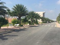 Mở bán khu dân cư mới bệnh viện Chợ Rẫy 2, mặt tiền Trần Văn Giàu. Mở bán khu dân cư mới bệnh viện Chợ Rẫy 2, mặt tiền Trần Văn Giàu.