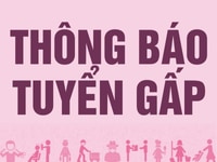 Xưởng may Just-P chuyên áo thun, sơ mi, tuyển gấp 03 thợ may lương cao Xưởng may Just-P chuyên áo thun, sơ mi, tuyển gấp 03 thợ may lương cao