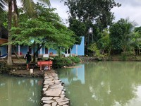 Cần tiền bán gấp nhà vườn có vườn ao và suối, huyện Trảng Bom Cần tiền bán gấp nhà vườn có vườn ao và suối, huyện Trảng Bom