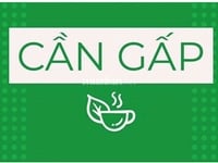 Cần gấp sinh viên hoặc LĐPT 18-28 tuổi, ưu tiên nhanh nhẹn, trung thực Cần gấp sinh viên hoặc LĐPT 18-28 tuổi, ưu tiên nhanh nhẹn, trung thực