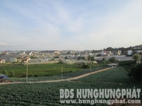 Bán đất nông nghiệp MT đường Nguyễn Hoàng, TP. Đà Lạt,Lâm Đồng. Bán đất nông nghiệp MT đường Nguyễn Hoàng, TP. Đà Lạt,Lâm Đồng.