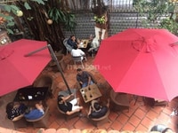 quán Karaoke.Thy s cafe.massage body.cần tuyển gấp 25. NV nữ PV quán Karaoke.Thy s cafe.massage body.cần tuyển gấp 25. NV nữ PV