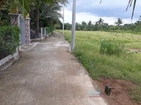 Đất Nền Tại Ấp 4 Xã Đạo Thạnh Thành Phố Mỹ Tho Đất Nền Tại Ấp 4 Xã Đạo Thạnh Thành Phố Mỹ Tho