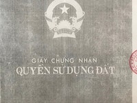 Đất Biệt Thự 2MT đường Tô Vĩnh Diện, Phường 6, TP. Đà Lạt, Lâm Đồng. Đất Biệt Thự 2MT đường Tô Vĩnh Diện, Phường 6, TP. Đà Lạt, Lâm Đồng.