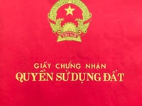 Nhà Liên Kế mặt tiền Nguyễn Công Trứ, Phường 8, TP. Đà Lạt, Lâm Đồng. Nhà Liên Kế mặt tiền Nguyễn Công Trứ, Phường 8, TP. Đà Lạt, Lâm Đồng.