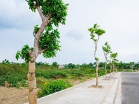 Đất TP Đồng Hới - Giá rẻ chất lượng cao đầu tư bao sinh lời Đất TP Đồng Hới - Giá rẻ chất lượng cao đầu tư bao sinh lời