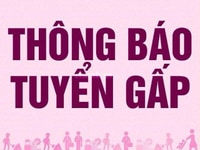 Chuỗi cửa hàng siêu thị cần tuyển thêm nhân viên cho cửa hàng Chuỗi cửa hàng siêu thị cần tuyển thêm nhân viên cho cửa hàng