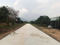 Bán Đất Coopmart Phú Mỹ Mặt Tiền Đường Trường Chinh F0 Đất SHR Bán Đất Coopmart Phú Mỹ Mặt Tiền Đường Trường Chinh F0 Đất SHR