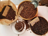 Cung cấp Cà Phê sỉ lẻ giá tốt nhất Cung cấp Cà Phê sỉ lẻ giá tốt nhất