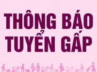 Cần tuyển thêm nhân viên đi lam ngay Cần tuyển thêm nhân viên đi lam ngay
