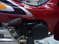 Bán xe Honda Wave Alpha màu đỏ đô Bán xe Honda Wave Alpha màu đỏ đô