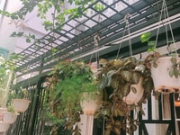 Bán Biệt thự Mini Quang Trung, Phường 10, Gò Vấp. 58m2 bán 3,5 tỷ Bán Biệt thự Mini Quang Trung, Phường 10, Gò Vấp. 58m2 bán 3,5 tỷ