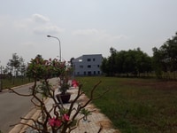 Cần bán nền đất sổ đỏ của dự án Làng Sen Việt Nam giá đầu tư Cần bán nền đất sổ đỏ của dự án Làng Sen Việt Nam giá đầu tư