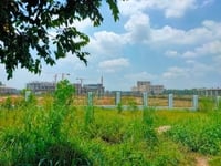 Bán trong tháng 280m2 giá 790tr sát đại học Việt Đức đang xây dựng Bán trong tháng 280m2 giá 790tr sát đại học Việt Đức đang xây dựng