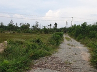 Bán lô đất 7000m2 tại Xã Vĩnh Thanh, Nhơn Trạch Bán lô đất 7000m2 tại Xã Vĩnh Thanh, Nhơn Trạch