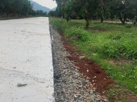 Chuyển nhà bán gấp lô đất ngay mặt tiền Trường Chinh 500m2 SHR 490tr Chuyển nhà bán gấp lô đất ngay mặt tiền Trường Chinh 500m2 SHR 490tr