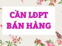 Cần Nam nữ bán hàng cho đại lý Cần Nam nữ bán hàng cho đại lý