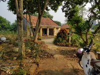 Chuyển nhượng 2712m2 thổ cư tại thị Trấn Lương Sơn, Hoà Bình Chuyển nhượng 2712m2 thổ cư tại thị Trấn Lương Sơn, Hoà Bình