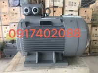 Motor công nghệ Úc và Đức bán chạy nhất hiện nay Motor công nghệ Úc và Đức bán chạy nhất hiện nay