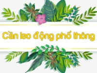 Việc làm cho sinh vien, mẹ nội trợ Việc làm cho sinh vien, mẹ nội trợ