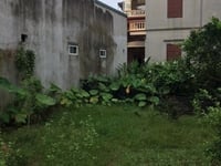 Bán lô đất 100m2, MT Võ Văn Vân, Vĩnh Lộc B, Bình Chánh, SHR, giá 16tr Bán lô đất 100m2, MT Võ Văn Vân, Vĩnh Lộc B, Bình Chánh, SHR, giá 16tr