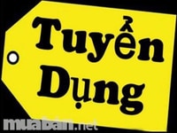 Cần tuyển gấp nhân viên văn phòng, hành chính nhân sự Cần tuyển gấp nhân viên văn phòng, hành chính nhân sự
