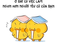 Cần gấp 02 nhân viên kế toán làm việc tại chi nhánh Cần gấp 02 nhân viên kế toán làm việc tại chi nhánh