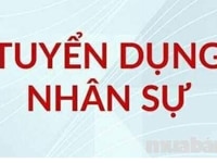 Cần tuyển thêm nhân viên hỗ trợ bên nhân sự làm giờ hành chính Cần tuyển thêm nhân viên hỗ trợ bên nhân sự làm giờ hành chính