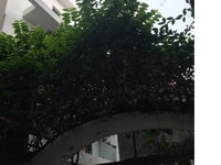 Cho thuê nhà kiểu biệt thự đội nhân 186m2 x 4 tầng cho người nước ngoà Cho thuê nhà kiểu biệt thự đội nhân 186m2 x 4 tầng cho người nước ngoà