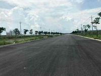 Bán gấp giá thu hồi vốn 520tr 250m2 có 100m2 thổ cư shr Bán gấp giá thu hồi vốn 520tr 250m2 có 100m2 thổ cư shr