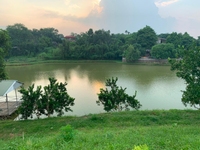 Bán 3000 m2 đất thổ cư Đồng Chanh , Nhuận Trạch, Lương Sơn, Hoà Bình. Bán 3000 m2 đất thổ cư Đồng Chanh , Nhuận Trạch, Lương Sơn, Hoà Bình.