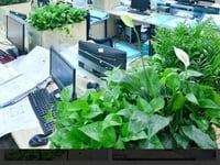 Công ty cần tuyển 5 nhân viên làm việc tại công ty Công ty cần tuyển 5 nhân viên làm việc tại công ty