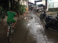 Cần bán đất thổ vườn 5.300m2, Lê Minh Xuân, Bình Chánh Cần bán đất thổ vườn 5.300m2, Lê Minh Xuân, Bình Chánh