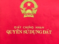 Bán đất biệt thự 2MT đường Nguyễn Hữu Cảnh, Phường 8, TP. Đà Lạt Bán đất biệt thự 2MT đường Nguyễn Hữu Cảnh, Phường 8, TP. Đà Lạt