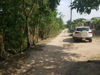 Cần bán gấp lô đất ở Ấp Mũi Lớn, Xã Tân An Hội Cần bán gấp lô đất ở Ấp Mũi Lớn, Xã Tân An Hội