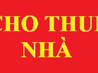 Cho thuê nhà nguyên căn 4x12m, đường Quang Trung, Phường 8, Gò Vấp Cho thuê nhà nguyên căn 4x12m, đường Quang Trung, Phường 8, Gò Vấp
